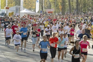 20km10 048